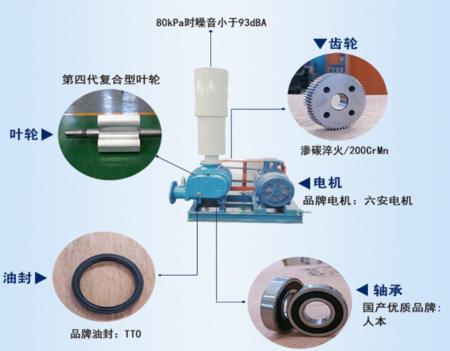 章丘豐源機械羅茨鼓風(fēng)機產(chǎn)品結構說(shuō)明圖 章丘豐源機械羅茨鼓風(fēng)機產(chǎn)品結構說(shuō)明圖