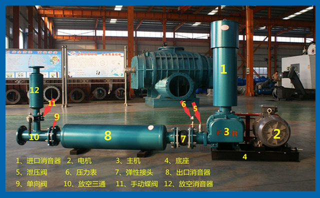 羅茨風(fēng)機解剖圖 羅茨風(fēng)機解剖圖