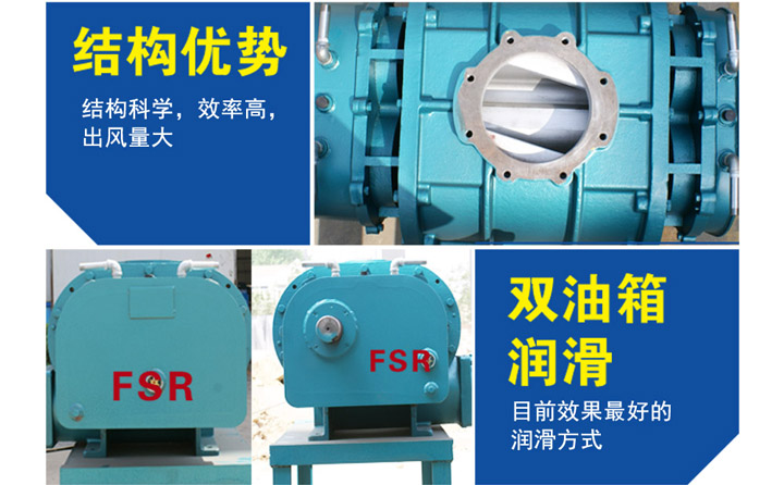 高壓羅茨風(fēng)機