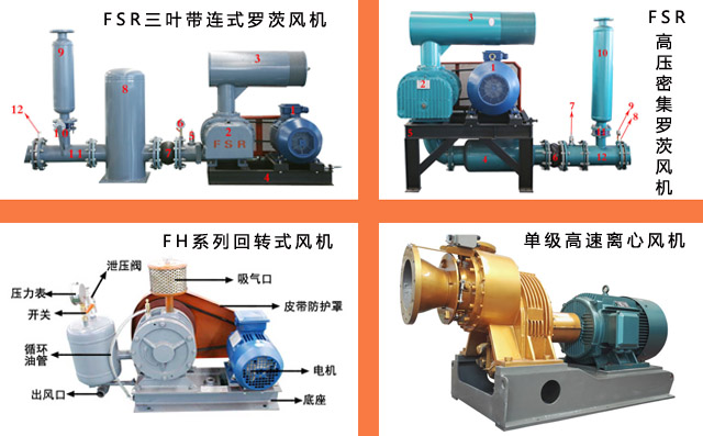羅茨鼓風(fēng)機