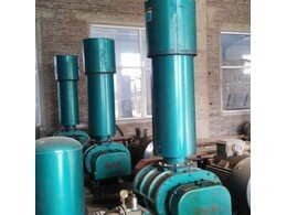 豐源氣化羅茨風(fēng)機用于國電蓬萊發(fā)電廠(chǎng)運行成功